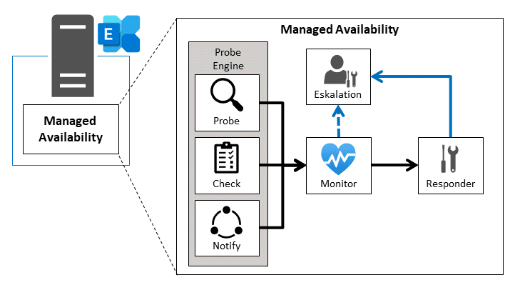 Diagramm zur Exchange-Funktion „Managed Availability“. Links ein Exchange-Server, der Managed Availability nutzt. Im Hauptbereich der interne Ablauf: Eine Probe Engine führt drei Schritte aus – „Probe“, „Check“ und „Notify“. Die Ergebnisse werden an den „Monitor“ übergeben, der den Systemzustand bewertet. Bei Problemen löst der Monitor eine „Escalation“ aus oder steuert direkt einen „Responder“, der automatische Maßnahmen zur Fehlerbehebung ausführt. Pfeile zeigen den Ablauf von Probes über Monitoring bis zu Reaktion und Eskalation.